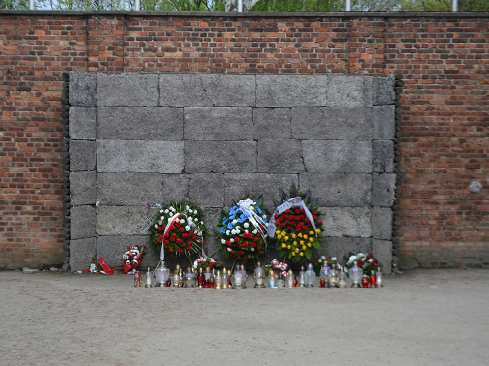 The Meaning of VEDay A Historian's Personal Journey Through Auschwitz